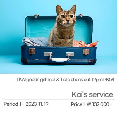 KAIs service